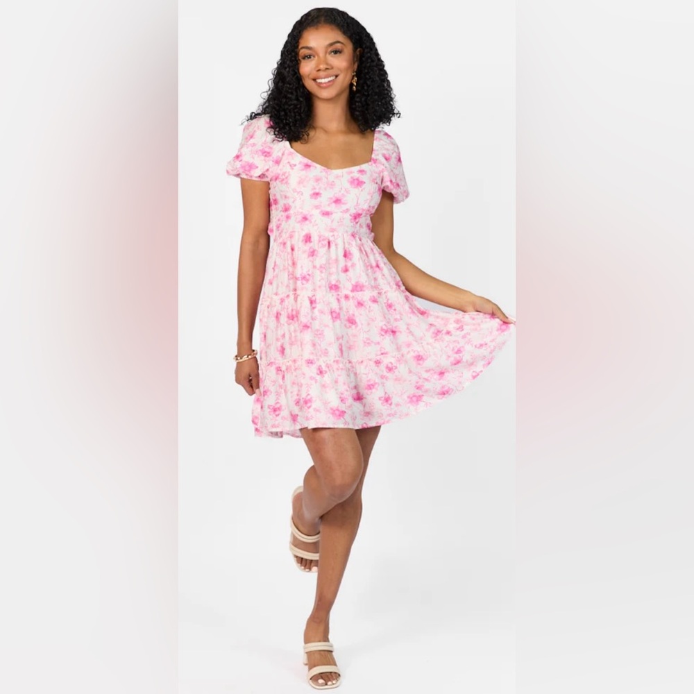 NWT Pink Lily Dress